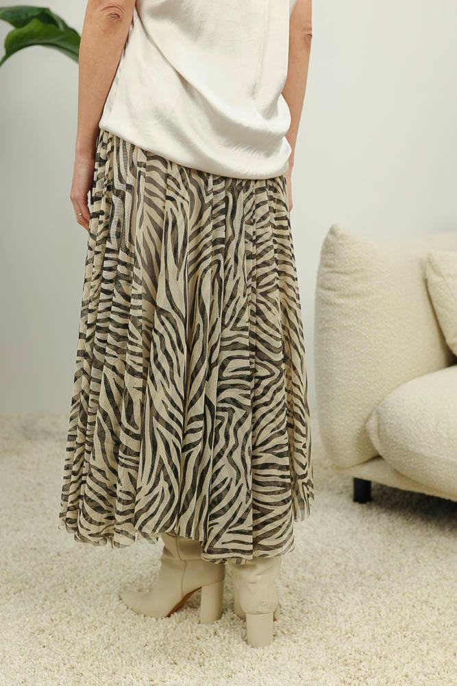 Rok Ivy
